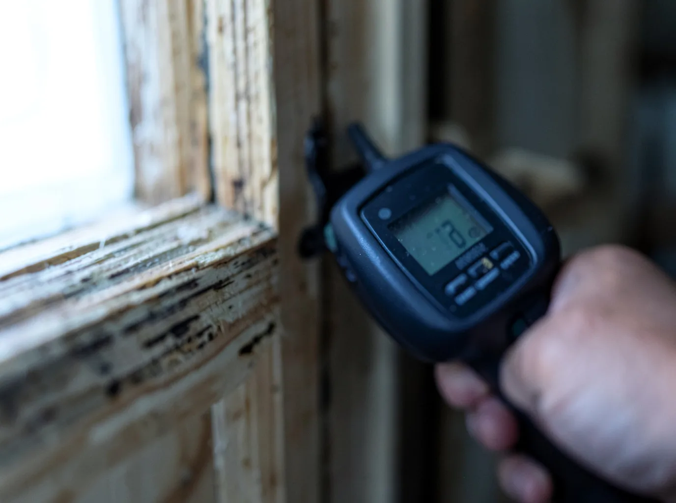 Moisture Inspection And Documentation in Castlewood, VA